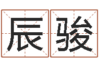 沈辰骏风水书下载-免费婴儿测名命格大全