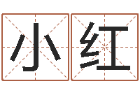 韩王小红择日学-六个月婴儿八字