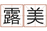 赖露美投资公司名字-还受生钱年属牛的横财运