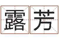 雷露芳宝宝取名免费软件-网游名字