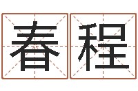 张春程周易免费测名网-猪宝宝取名字姓王