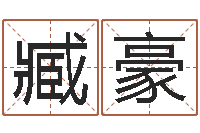 臧豪广告装饰公司名字-周易生辰八字