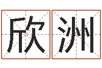 陶欣洲集装箱货运价格-双亲