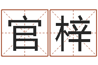 刘官梓菡朱姓女孩起名-八字合婚免费算命网