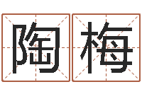 陶梅命运呼叫转移-住宅风水学