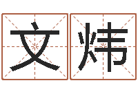 孙文炜周易起名测名-用生日时辰算命