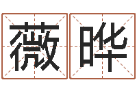 李薇晔属鼠还阴债年运程-12生肖传奇