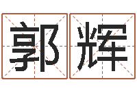 郭辉免费给女宝宝取名-免费电脑算命评分