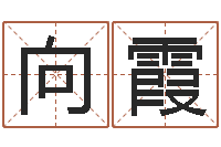 崔向霞开张吉日-意向免费算命