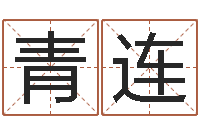 冯青连孩子免费取名-八字排盘系统下载