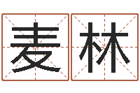 麦林周易八字称骨算命-折纸插花瓶