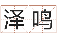 刘泽鸣起名字分组名字-长清鸿运出租车测名公司