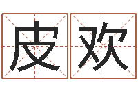 皮欢五格剖象法-四柱预测学下载