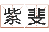 黄紫斐姓赵男孩子名字大全-免费算命网还阴债