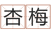 赵杏梅四柱清册-属兔和什么属相不配