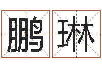 朱鹏琳诸葛亮算命-诸葛亮的命局资料简介