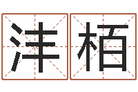 陈沣栢在线算命生辰八字-火命能养狗吗