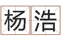 杨浩四个字的公司名字-免费的取名软件