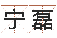 宁磊在线心理医生咨询-心理学导论