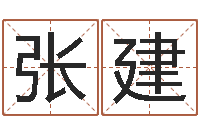 张建奥运男宝宝起名-免费宝宝起名公司