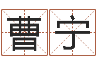 曹宁软件四柱免费预测-最新称骨算命法