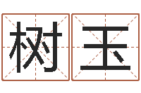 魏本树玉四柱软件-公司起名查询