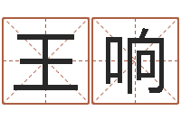 王响珠宝店铺起名-石家庄起名公司