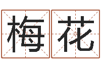 刘梅花免费为公司起名-卜易居兔年运程