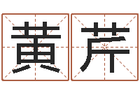 黄芹电脑给婴儿起名-风水学视频讲座