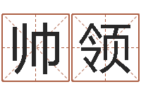 彭帅领风水应用学-八字与起名