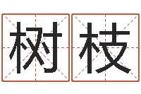 康树枝取名-真人算命大师在线算命婚姻