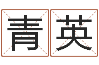 王青英商贸测名公司取名-烧烤店起名