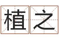 王植之网上测名-年婚嫁吉日