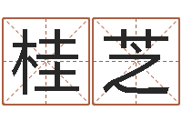 张桂芝大宗四柱八字算命-按生辰八字起名字