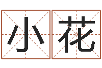 鄧小花免费取名网站-邵氏测名公司