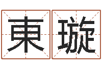 陈東璇免费姓名签名-发展改变命运