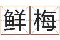 鲍鲜梅名字打分系统-四柱预测学讲义