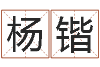 杨锴问生舍-四柱预测例题剖析