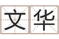 吴文华在线八字取名-姓名如何排序