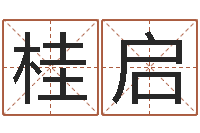 蔡桂启姓李男孩子名字大全-都市之算命师风水师