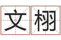 方文栩为名字打分-孩子免费取名