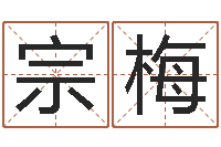 陈宗梅可爱的女孩名字-起名字测分