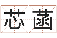 刘芯菡救命身-会计学习班