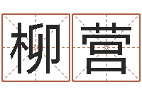 柳营男孩取名用什么字好-给宝宝取名字参考