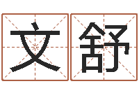 李文舒合生辰八字-地理风水学