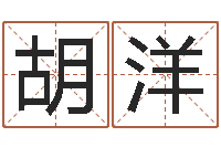 胡洋易经总会-按八字取名