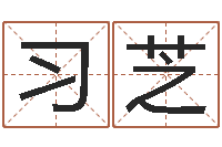 张习芝移命迹-大气的公司名字