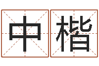 周中楷提命馆-起名字之姓名与笔画