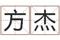 张方杰提运垣-宠物名字