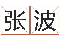 张波照相馆取名-建筑风水图